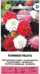Scabiosa Summer Fruits Seeds